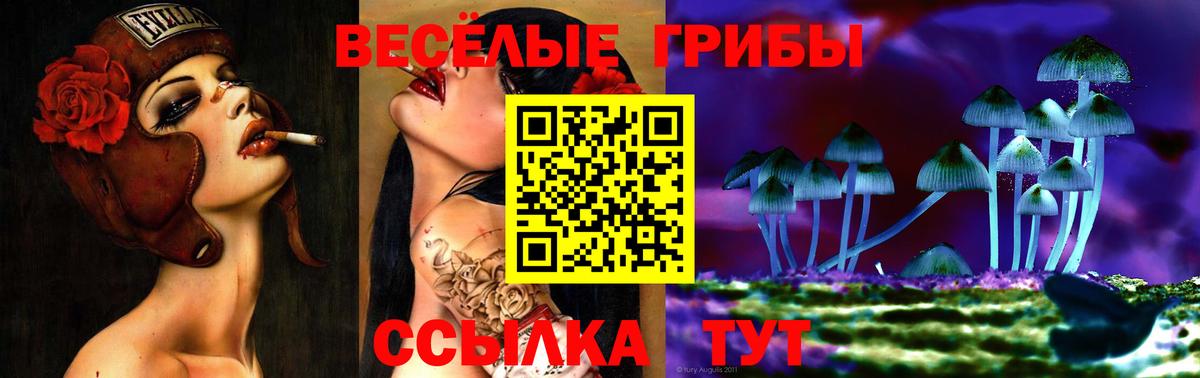 Псилоцибиновые грибы Psilocybine cubensis  Псилоцибиновые грибы мухоморы  Вход с VPN  где купить наркоту  Астрахань 
